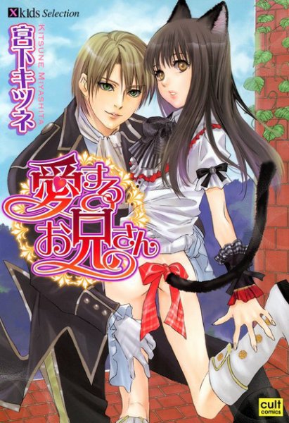 愛するお兄さん 2009年09月17日発売号 表紙