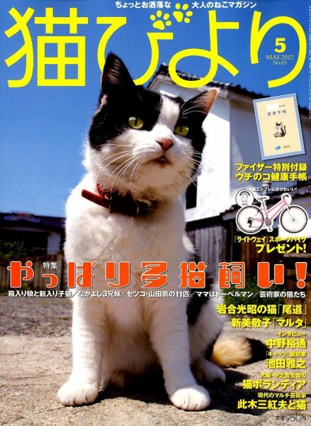 猫びより 63号 (発売日2012年04月12日) 表紙