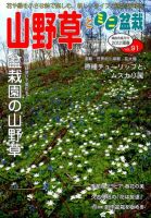 山野草とミニ盆栽 5月号 (発売日2012年04月12日) 表紙