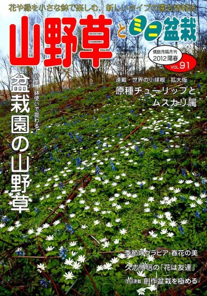 山野草とミニ盆栽 5月号 (発売日2012年04月12日) 表紙