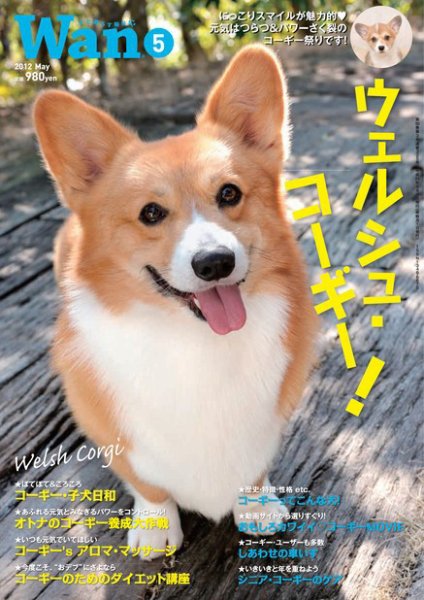 wan（わん） 2012年5月号 (発売日2012年04月14日) 表紙