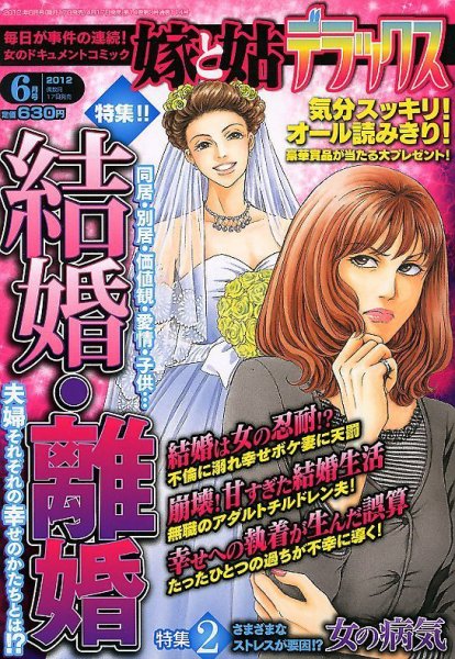 嫁と姑デラックス 6月号 (発売日2012年04月17日) 表紙