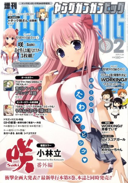 ビッグガンガン 2011年06月25日発売号 表紙