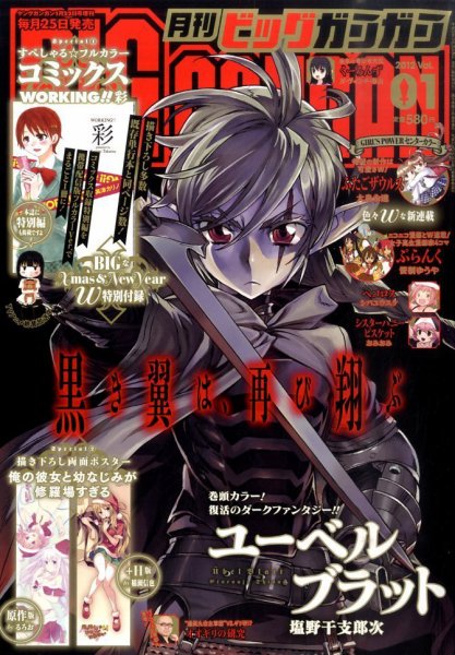 ビッグガンガン 1/22号 (発売日2011年12月24日) 表紙