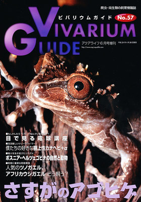 【ふぐ】ビバリウムガイド20冊セット 778012_l.jpg