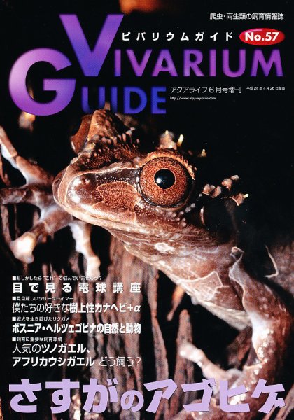 ビバリウムガイド 57号 (発売日2012年04月26日) | 雑誌/定期購読の予約
