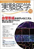 実験医学 10月号 表紙