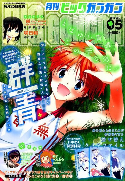 ビッグガンガン 5/24号 (発売日2012年04月25日) 表紙