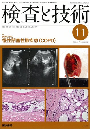 検査と技術 Vol.40 No.12 (発売日2012年11月01日) 表紙