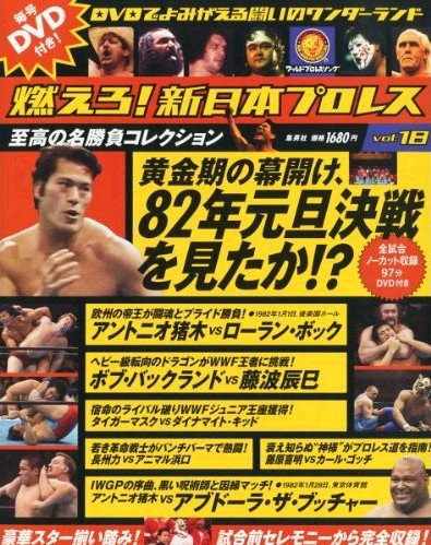 燃えろ！新日本プロレス vol.18 (発売日2012年06月07日) 表紙