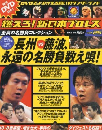 燃えろ！新日本プロレス vol.25 (発売日2012年09月13日) 表紙