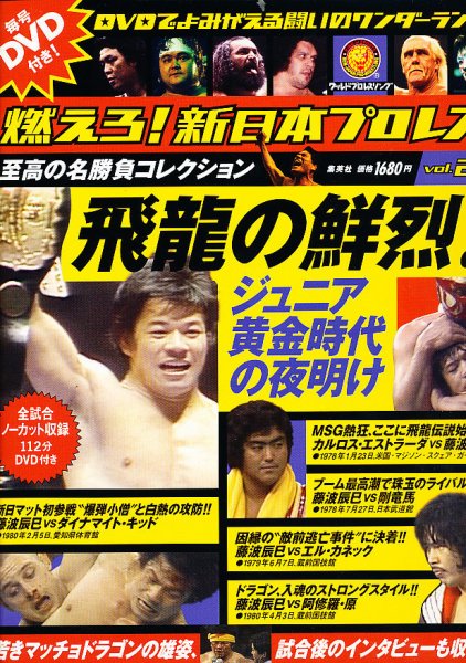 燃えろ！新日本プロレス vol.28 (発売日2012年10月25日) 表紙