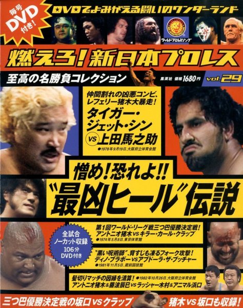 燃えろ！新日本プロレス vol.29 (発売日2012年11月08日) 表紙