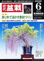月刊 近代盆栽 6月号 表紙