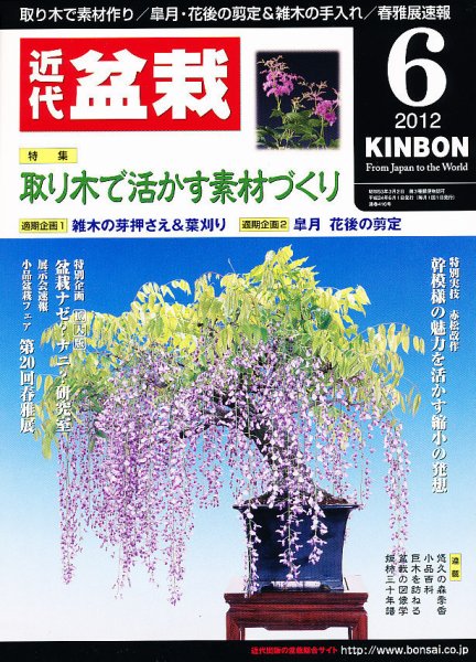 月刊 近代盆栽 6月号 (発売日2012年05月02日) 表紙