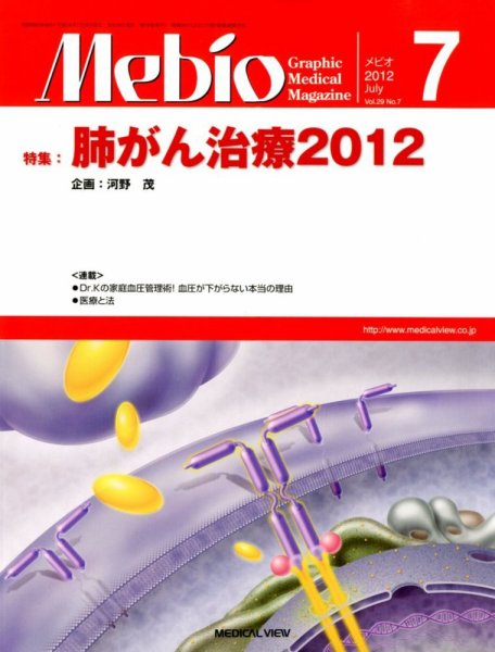 Mebio 2012年7月号 (発売日2012年06月12日) 表紙