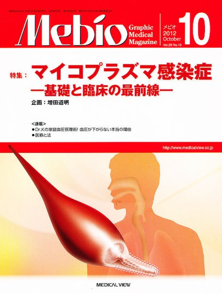 Mebio 2012年10月号 (発売日2012年09月10日) 表紙