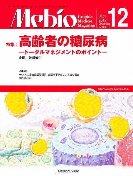 Mebio 2012年12月号 (発売日2012年11月12日) 表紙