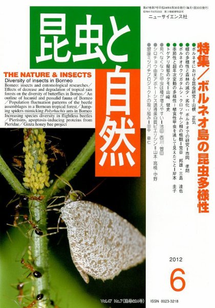 昆虫と自然 6月号 (発売日2012年05月21日) 表紙