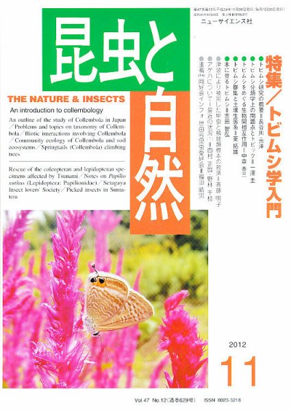 昆虫と自然 11月号 (発売日2012年10月20日) 表紙