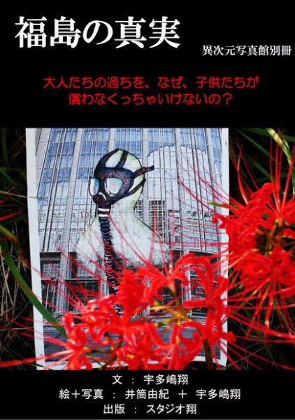 福島の真実（異次元写真館別冊） 2011年10月28日発売号 表紙