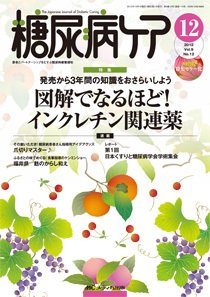 糖尿病ケア＋（プラス） 12月号 (発売日2012年11月07日) 表紙
