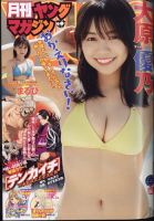 月刊ヤングマガジン 6/1号 (発売日2012年05月09日) 表紙
