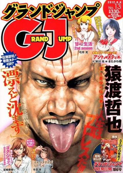 グランドジャンプ 6/6号 (発売日2012年05月16日) 表紙