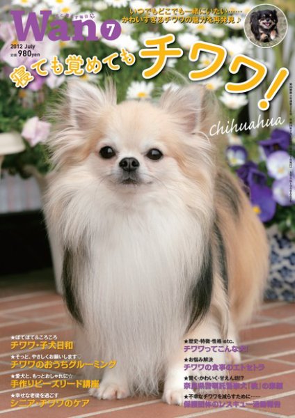 wan（わん） 2012年7月号 (発売日2012年06月14日) 表紙