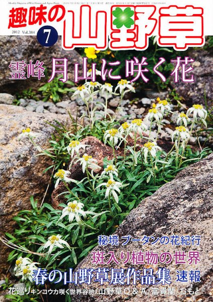 趣味の山野草 7月号 (発売日2012年06月12日) 表紙