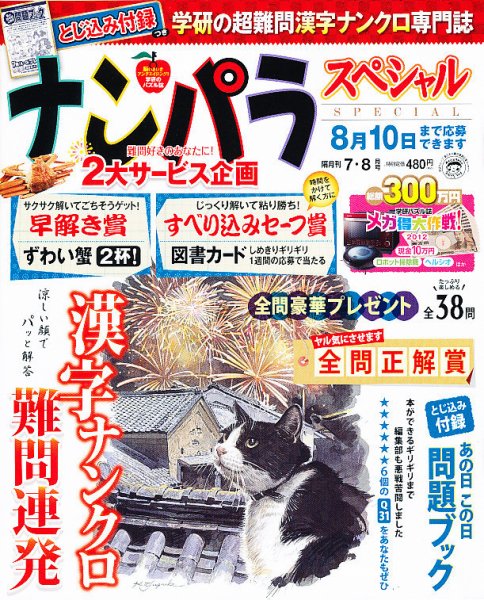 ナンパラSpecial 7月号 (発売日2012年06月14日) 表紙
