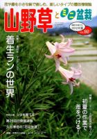 山野草とミニ盆栽 7月号 (発売日2012年06月12日) 表紙