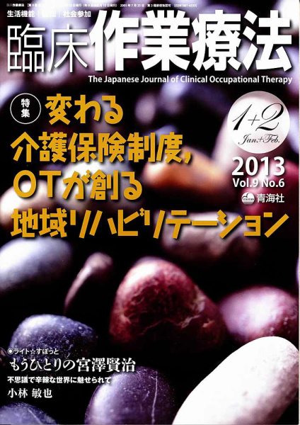 臨床作業療法 Vol.9 No.6 (発売日2012年12月15日) 表紙