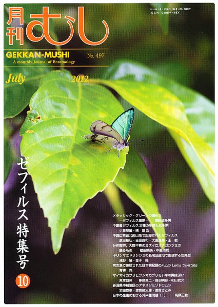 月刊むし 497 (発売日2012年06月22日) 表紙