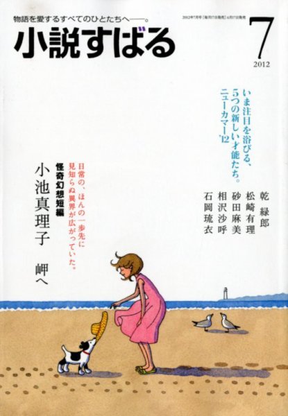 小説すばる 7月号 (発売日2012年06月16日) 表紙