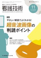 看護技術 2012年11月号 (発売日2012年10月20日) 表紙