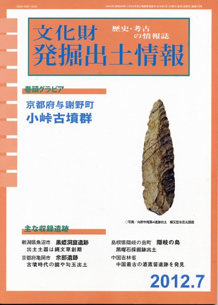 文化財発掘出土情報 7月号 (発売日2012年07月01日) 表紙