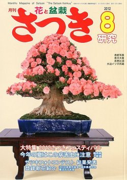 皐月　さつき　サツキ　盆栽　大品　若恵比須 皐月 さつき サツキ 盆栽 大品 若恵比須 皐月（サツキ）の魅力｜キミのミニ