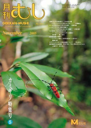 月刊むし 417 (発売日2005年10月20日) 表紙