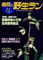 園芸Japan 11月号 表紙