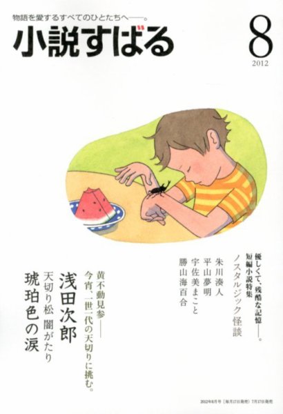 小説すばる 8月号 (発売日2012年07月17日) 表紙
