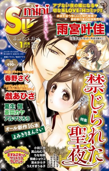 mini Sugar（ミニシュガー） VOL.24 (発売日2012年11月30日) 表紙