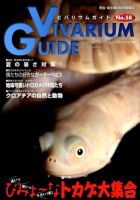 ビバリウムガイド 58号 表紙