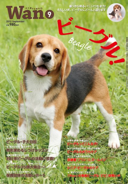 wan（わん） 2012年9月号 (発売日2012年08月11日) 表紙