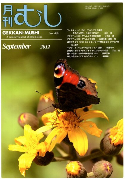 月刊むし 499 (発売日2012年08月23日) 表紙
