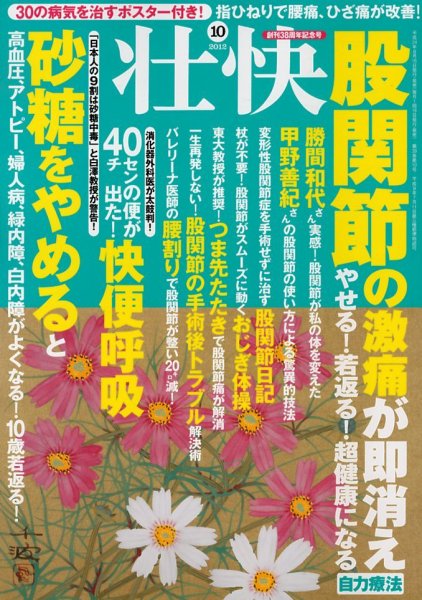 壮快 10月号 (発売日2012年08月16日) 表紙