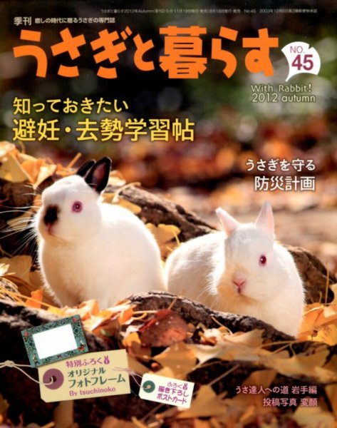 うさぎと暮らす 10月号 (発売日2012年08月18日) 表紙
