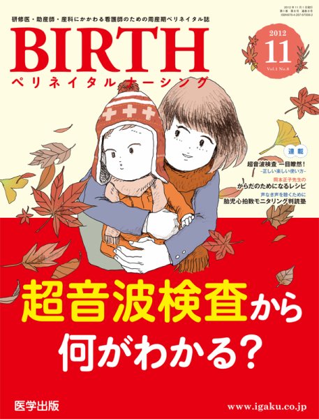 BIRTH（ペリネイタルナーシング） 2012年11月号 (発売日2012年10月20日) 表紙