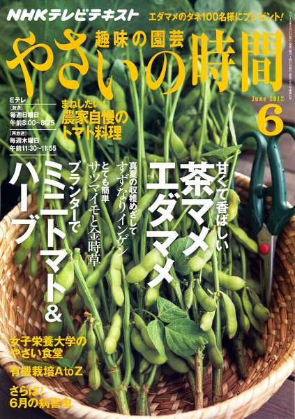 NHK 趣味の園芸 やさいの時間 6月号 (発売日2012年05月21日) 表紙