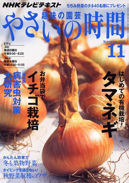 NHK 趣味の園芸 やさいの時間 11月号 (発売日2012年10月20日) 表紙